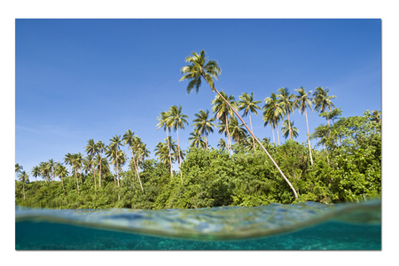 South Pacific :: Solomon Islands